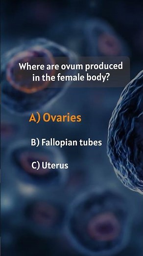 Female Reproductive System Explained (Quick Test)