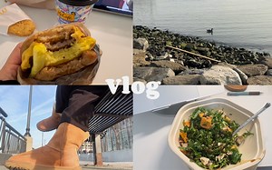 Vlog 美国留学生年末碎片｜幸福跨年｜散步｜处理冰箱食材｜尝试各种白人饭｜手帐交接