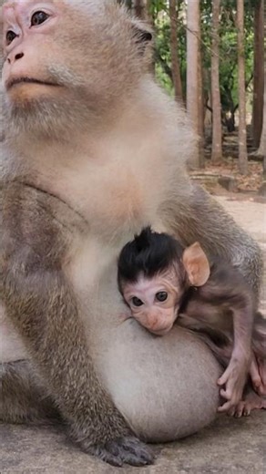 Awesome Cute Baby Dimitri