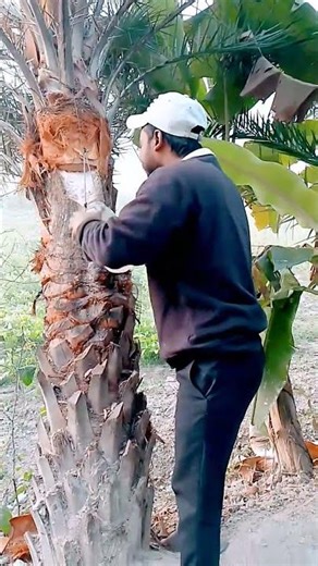 #shortvideo #viralvideo