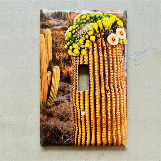 Handmade Lightswitch Cover - Cactus With Flowers - Etsy