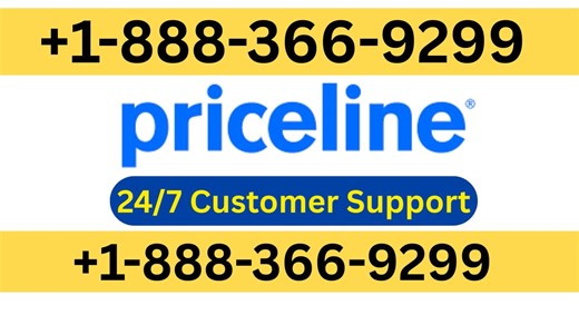 Ultimate Priceline™ Customer Service Guide | 24/7 Official Live Person Support
