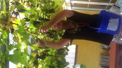 12 сентября 2016