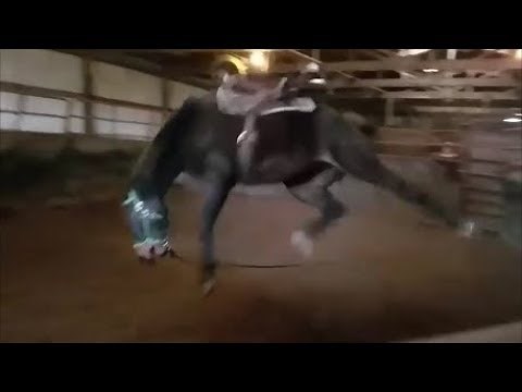 DANGEROUS Bucking horse gets fixed!!!