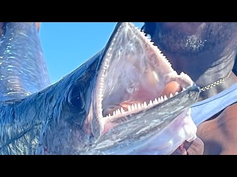 EPIC day of fishing. in Fort Pierce