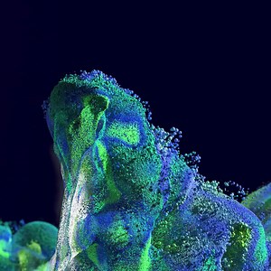 Distillation à la vapeur | Buchi.com