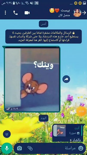 Adventures of a Cartoon Mouse in Colorful Animation