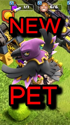 The NEW Clash Of Clans Pet Is The BEST?