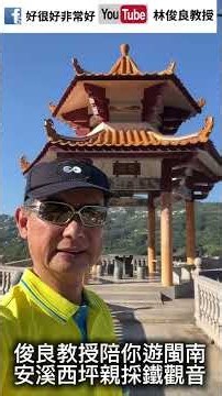 安溪 西坪鐵觀音母樹 俊良教授