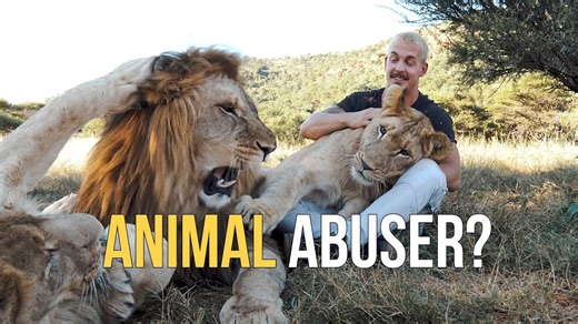 Animal abuse? Here’s how we fight back 💪🏼