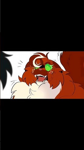 Squirrelflight is done with Ashfur (Shorts version) #warriorcats #animation #ashfur #squirrelflight