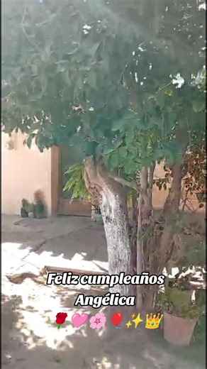 Videos de Bon Bon Candy Bar (@bonboncandybar) con “sonido original - 🇨🇱Angėlica.Hija del Rey.🇨🇱”