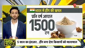#DNA: Hing to be cultivated for the first time in Himachal Pradesh's Lahaul Spiti #Hing #lahaulspiti #himachalpradesh | Zee News English