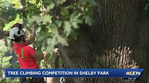 Tree climbing competition to be held at Shelby Park