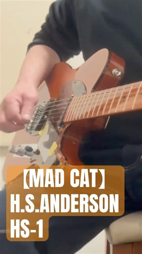 【MAD CAT 】H.S.Anderson HS-1