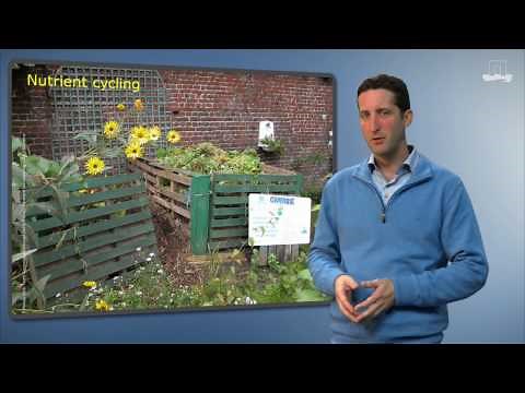 Soil functions explained