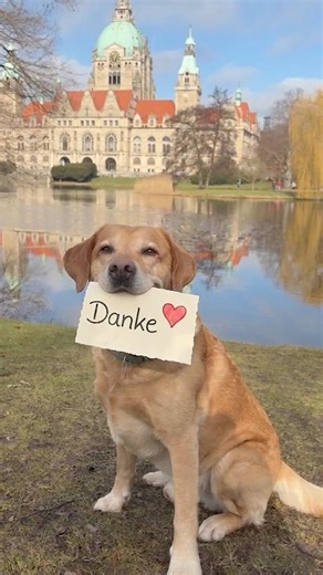 Danke an alle Tierärztinnen und Tierärzte ❤️