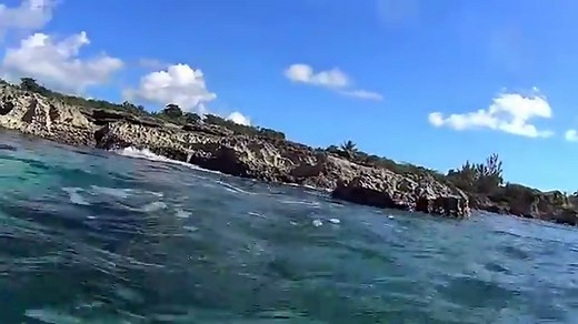 Smith Cove Grand Cayman Snorkel Review (2026) - All You Need To Know