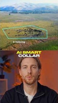 Halter launches AI-powered cow collars replacing 800,000 km of #halter #virtualfencing #agtech