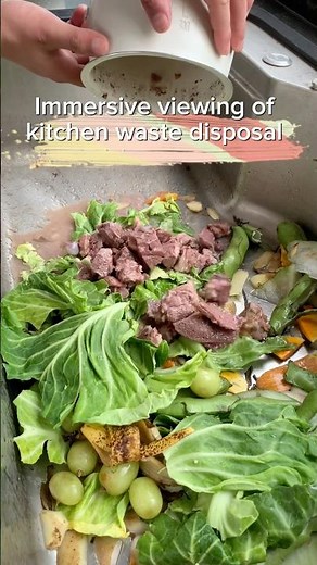 How to quickly dispose of kitchen waste? Food waste disposer helps you. #foodwastedisposer