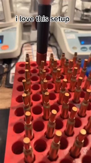 Ultimate Guide to .223 Remington Rifle Hunting