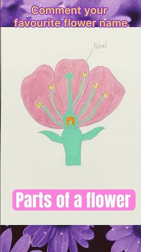 How to Draw a Flower 🌼 | Labelled Diagram of a Flower in 1 Min