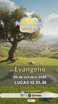 📖 Evangelio del día 📖 30 de octubre 2025 San Lucas 13 31-35 #evangeliodehoy #evangelio #biblia #fe