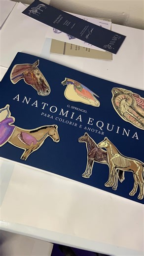 Nathália Vitória | Medicina Veterinária on Instagram: "Se é pra estudar, que seja com qualidade 🙏🏼📚 Esse livro de anatomia equina virou meu queridinho pra fixar ossos e músculos sem sofrimento! Meu cupom de desconto está disponível em todo o site: NAHVET Indispensável pra quem quer se destacar na Medicina Veterinária , principalmente na área de equinos!🐎 • Disponível em @anatoequi ✨ #vetmed #equine #medvetlife #anatoequina"