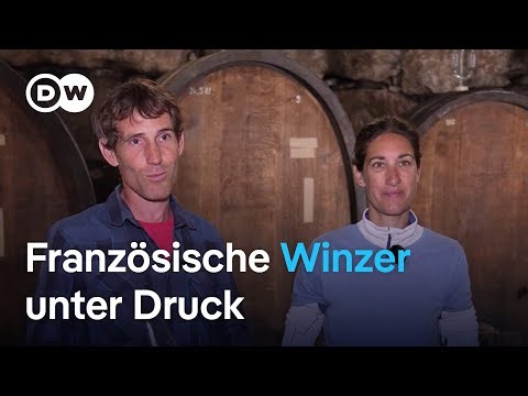 Wie sich US-Zölle auf französischen Weinhersteller auswirken | DW Nachrichten