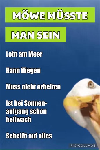 niedi (@klausniederberger)’s videos with Cozy Radio FM-3 - Kostas Relax