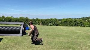 Our chines Red dog breeding program 12 months old Zero2Hero students Abu and Boyce | DDR GUARD DOGS