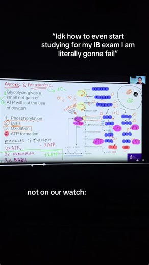 Navigating the New IB Biology Syllabus