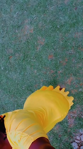 Nyarongo's Collections on Reels