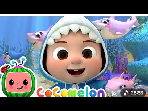 Baby shark and du du song nursery rhymes for USA kids