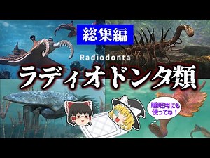 【睡眠用・ゆっくり解説】ラディオドンタ類 総集編【広告最初のみ 途中広告なし】