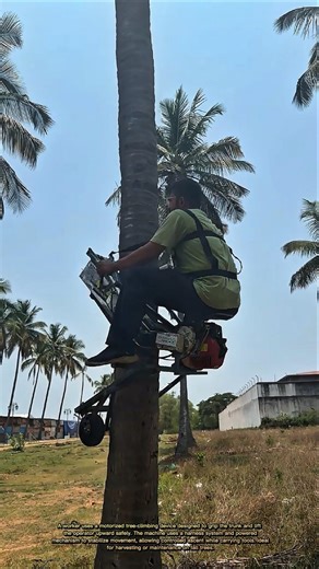Crazy Tree Climbing Machine That Cuts Work Time in Half!