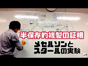 半保存的複製の証明（メセルソンとスタールの実験）高校生物