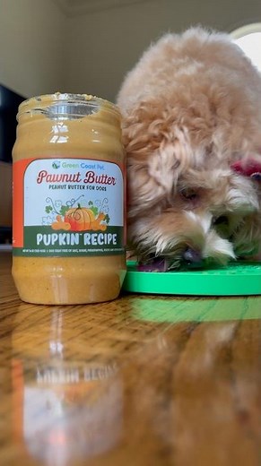 Maltipoo Tries Peanut Butter and Lick Mat