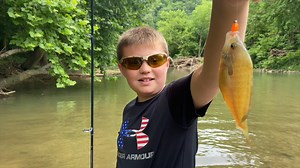Wading Patiently with Creek Fishing Adventures - #dropthetailgate In this episode of Drop The Tailgate, Matt hooks up with John Dalton of Creek Fishing Adventures and TWRA WildCast host Jason Harmon and his son Tucker to do some wade fishing in the Roaring River. Be sure to follow #CreekFishingAdventures for fun creek fishing videos and expert advice! #tnwildlife #gooutdoorstennessee #tnfishing #bass #smallmouthbass #outdoors #creekfishing | Tennessee Wildlife Resources Agency