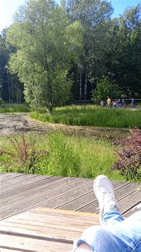 #pond in forest #serenity #beautiful #beauty #кувшинки #пруд #russia nature