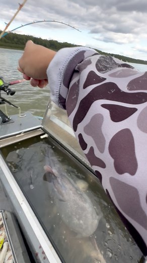 Dry Creek Marine LLC Fish Rite Performer live wells are huge, we can confirm! But that takedown, shewww it had us excited. SmackDown Catfishing rod holder had that rod locked in! #Catfishing #BlueCatfish #BigCatfish #CatfishNation #RiverMonsters #FishingLife #CatfishAddict | Run N’ Gun Catfishing