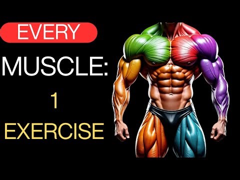 7 Powerful Exercises That WORK EVERY MUSCLE in JUST ONE MOVE!