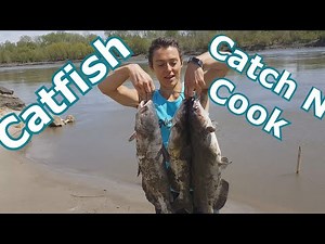 Best Way to Cook Catfish: Catch and Cook