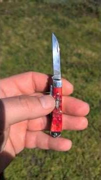 Case Tiny trapper in carbon steel: Mini Monday submissions with ‪@dongkhamet1351‬ #edc #knifelife