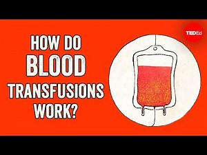 How Blood Transfusions Work