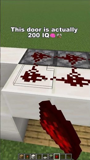 This Door is Actually 200 IQ... #minecraft
