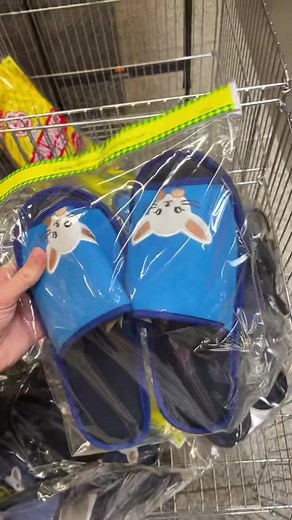 Korean grocery store haul! Guys this place was so cool. It’s called Seoul mart in ottawa! #asmr #koreanfood #haul #korean #food #korea #ottogi