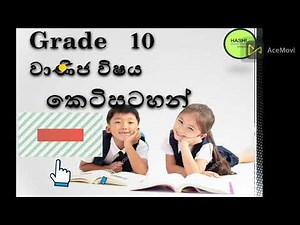 GRADE 10 COMMERCE SHORT NOTE LESSON 3