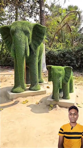 Atika ka Notanki wala Video #shorts #funny #tiktok #trending