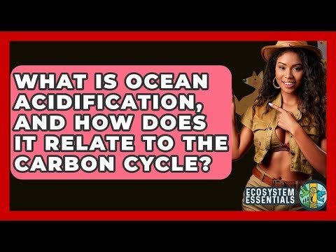 What Is Ocean Acidification, And How Does It Relate To The Carbon Cycle? - Ecosystem Essentials